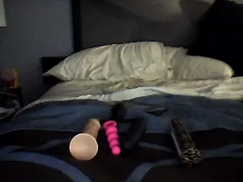 Biknight online show from 12/15/24, 06:29