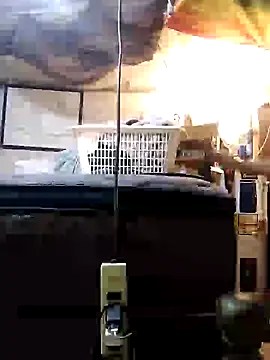 Biknight online show from 12/31/24, 11:49