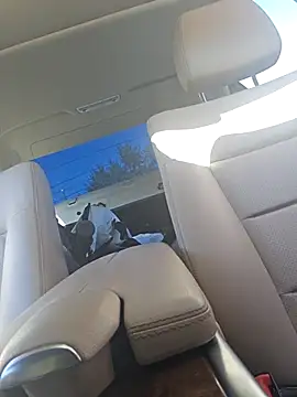 UncutHammer69 online show from 09/28/25, 04:12