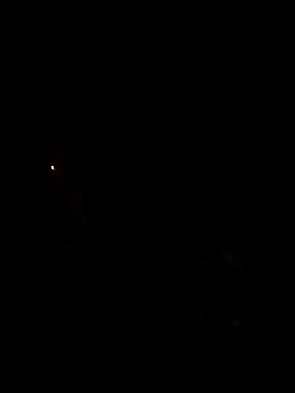 gusaven online show from 03/16/25, 04:23