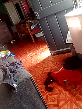 Snapshot of 2soyte chatting on 09/26/25, 08:29 2soyte online show from 09/26/25, 08:29