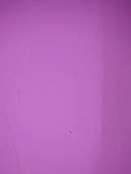 Snapshot of Nisha555 chatting on 12/02/25, 03:29 Nisha555 online show from 12/02/25, 03:29