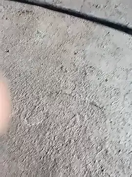 Bengali BULL1 online show from 10/04/25, 05:05