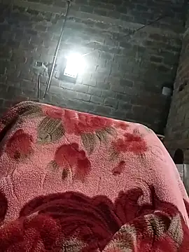 Bengali BULL1 online show from 10/08/25, 04:15