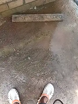 Bengali BULL1 online show from 10/10/25, 04:33