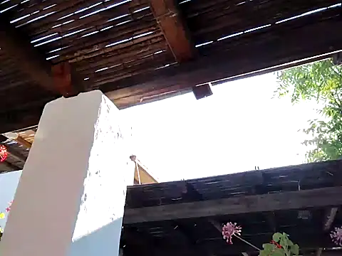 Perv10 online show from 06/22/26, 05:37