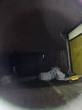 Snapshot of sarpe4 chatting on 11/20/25, 05:01 sarpe4 online show from 11/20/25, 05:01