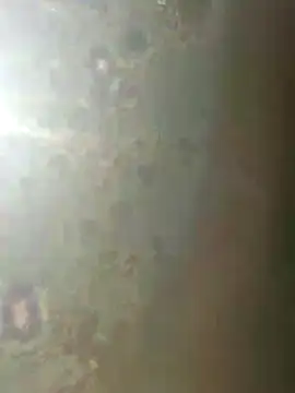 misscectito13 online show from 11/18/25, 10:31