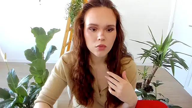 Pokemeboy online show from 01/31/25, 10:20