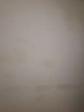 Adivaaa online show from 10/16/25, 09:10