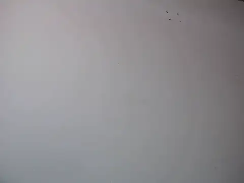 Snapshot of Mia_davis01 chatting on 01/12/25, 08:14 Mia davis01 online show from 01/12/25, 08:14
