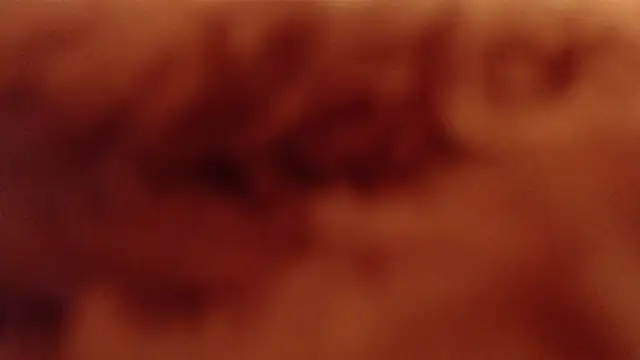 larawet online show from 01/04/25, 11:17