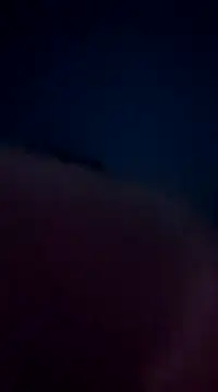 FeliciaKrige online show from 01/04/25, 02:25