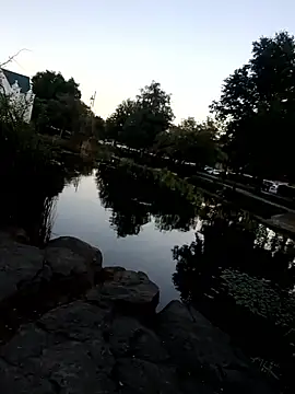 Snapshot of nicali78 chatting on 09/26/25, 01:31 nicali78 online show from 09/26/25, 01:31