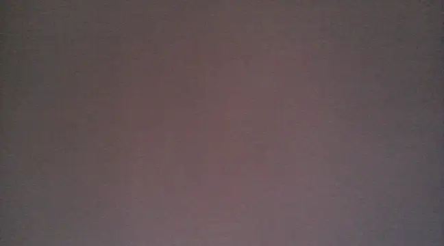 Snapshot of NIRVANA chatting on 12/29/24, 12:34 NIRVANA online show from 12/29/24, 12:34