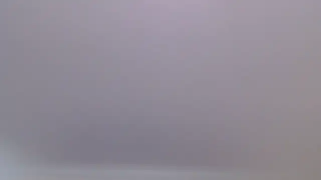 florida0217 online show from 07/27/26, 09:33