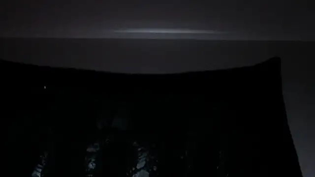 florida0217 online show from 07/29/26, 04:16