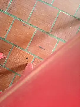 Snapshot of Brenda_Berck_ chatting on 09/12/25, 02:06 Brenda Berck online show from 09/12/25, 02:06