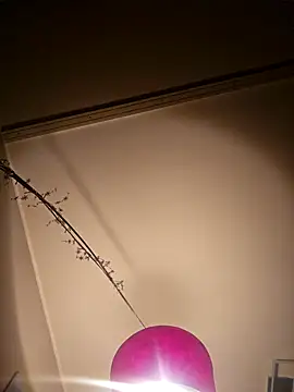 NiceHunter89 online show from 02/05/25, 10:22