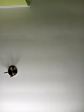 NiceHunter89 online show from 02/20/25, 10:37