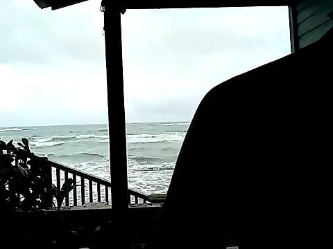 Luna-Natural online show from 12/24/24, 04:40