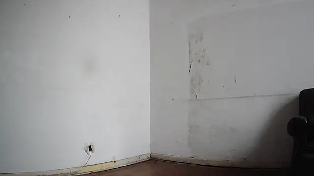 seoulsatxh online show from 02/08/25, 05:50