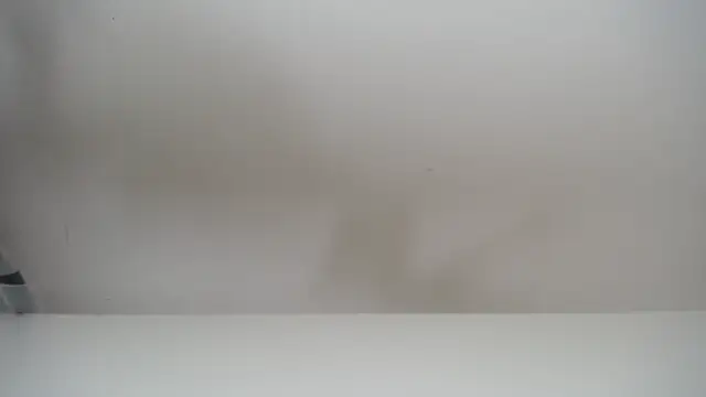 salomecastro  online show from 11/19/25, 06:30