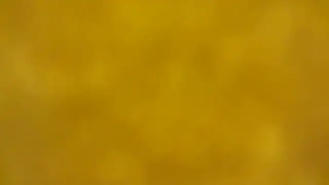 Snapshot of fmodel chatting on 12/16/25, 02:33 fmodel online show from 12/16/25, 02:33