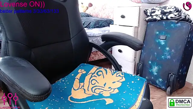 sweet cute cat online show from 02/13/25, 08:38