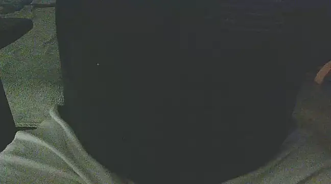 Palimy online show from 02/04/25, 11:16