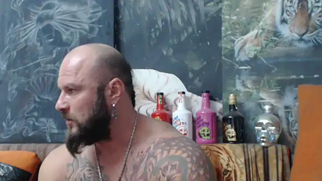 viking 30 online show from 09/25/25, 06:44