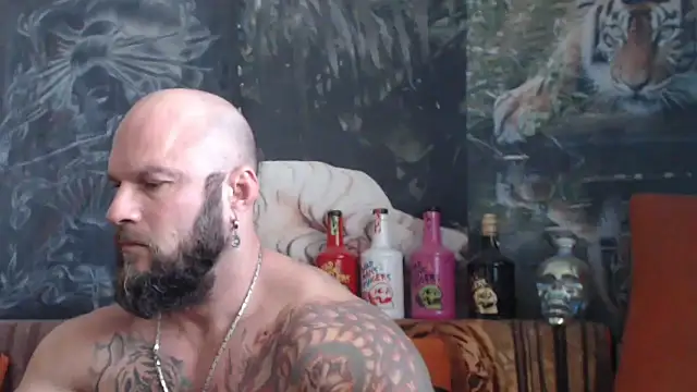 viking 30 online show from 10/01/25, 07:47