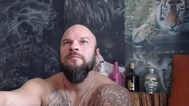 viking 30 online show from 11/04/25, 07:51