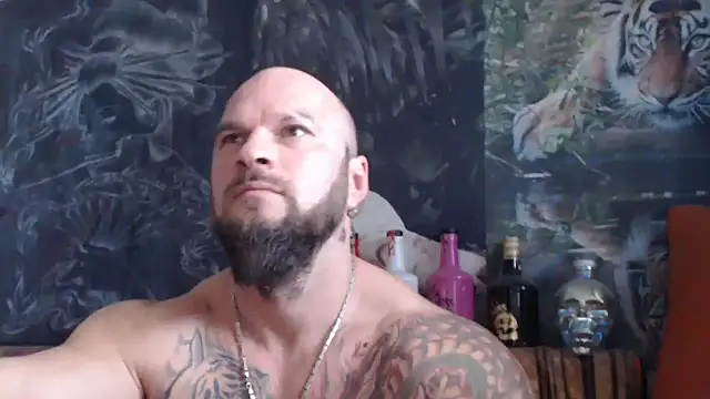 viking 30 online show from 11/07/25, 10:26