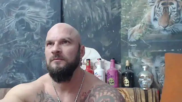 viking 30 online show from 11/17/25, 07:41