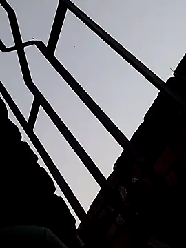 Snapshot of Shahidraza123465_ chatting on 11/18/25, 11:14 Shahidraza123465 online show from 11/18/25, 11:14