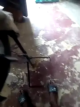 sexicaribe2 online show from 11/24/25, 05:01