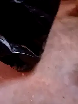 cachondobboy online show from 07/24/26, 05:33
