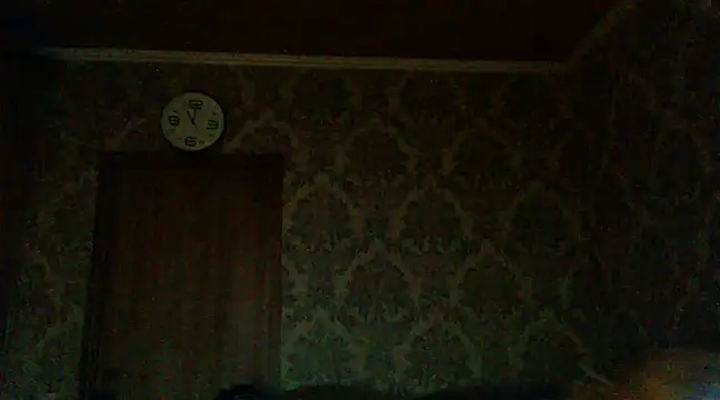 WildMissNiks online show from 12/02/24, 09:02