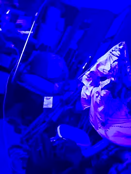 Snapshot of justinewe69 chatting on 09/23/25, 03:31 justinewe69 online show from 09/23/25, 03:31