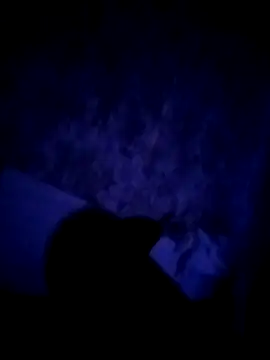 alfiebrown007 online show from 03/02/26, 05:19