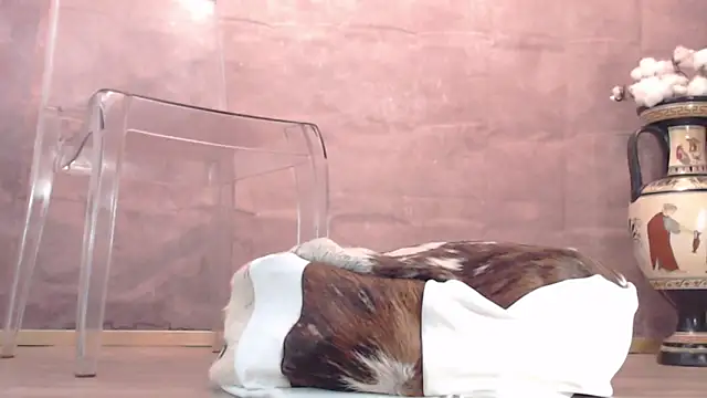 Snapshot of Lady-Nymph chatting on 10/26/25, 05:19 Lady-Nymph online show from 10/26/25, 05:19