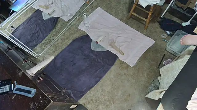 sex4fun 21 online show from 01/03/25, 03:01