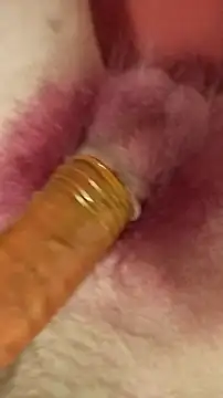 DerWeisser online show from 02/03/25, 09:29