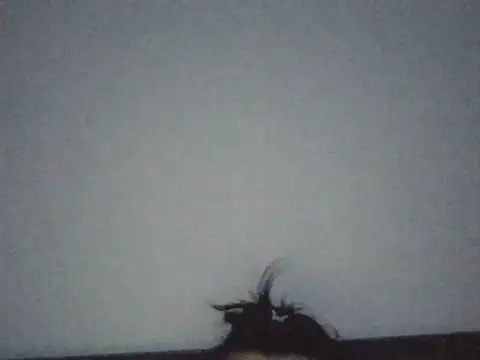 FallenDevil online show from 07/03/26, 07:09