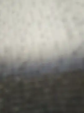 fit ass 2021 online show from 07/11/26, 03:04