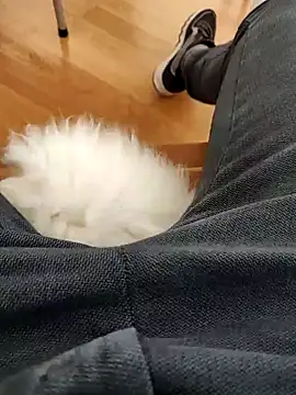 papiculo86 online show from 02/02/25, 09:08