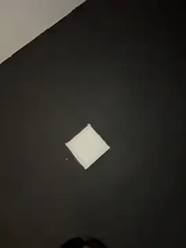 waspy online show from 06/01/26, 01:57