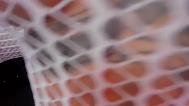 Snapshot of rosalia-04 chatting on 11/10/25, 06:07 rosalia-04 online show from 11/10/25, 06:07