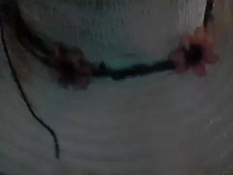 CROSSCOUNTRY1 online show from 12/01/24, 07:58